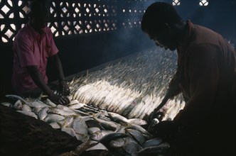 GAMBIA, Industry, Smoking fish
