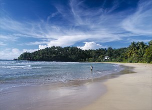 SRI LANKA, Pallikkudawa, Quiet sandy beach fringed with palm trees on the south coast with