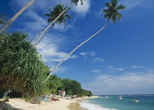 SRI LANKA, Unawatuna, Narrow strip of sandy beach lined with vegetation and overhanging palm trees