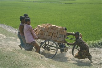 BANGLADESH, Agriculture, Group of men transporting load of bricks using three wheel bicycle with