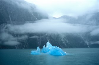 Iceberg seen from Sawyer Glacier, USA