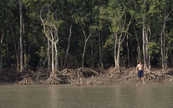 BANGLADESH, Khulna, Kuataka, Sundarbans.  Foreign tourist walking beside mangrove forest.