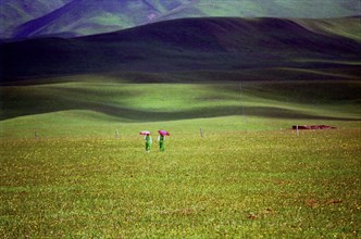 CHINA, Gansu, Xiahe, Wanderers walking through green landscape with pink parasols