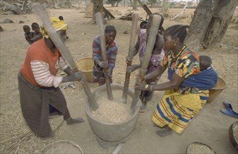 MALI, Pays Dogon, Tirelli, Women pounding millet in unison beside the village.