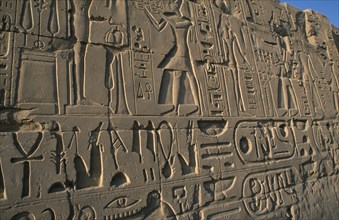 EGYPT, Nile Valley, Karnak, Precinct of Amun.  Detail of relief carving and hieroglyphics along