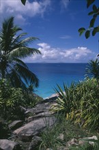 SEYCHELLES, Fregate Island, View through rocks and foliage toward the turquoise sea with islands of
