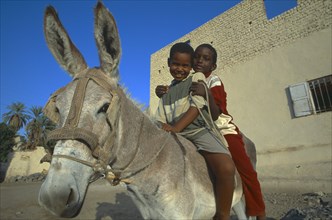 EGYPT, Nile Valley, Aswan, Two children on donkey wearing rope bridle and blinkers.