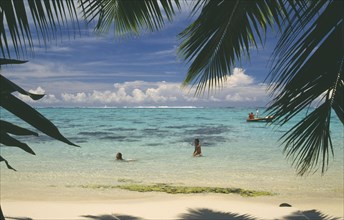 PACIFIC ISLANDS, Polynesia, Society Islands, Moorea.  Beach and swimmers partly framed by palm tree
