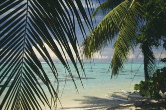 PACIFIC ISLANDS, Polynesia, Society Islands, Moorea.  Beach partly framed by palm tree fronds.