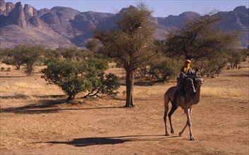 MALI, Sahel Desert, Touareg man on camel passing the Dyounde Mountains.