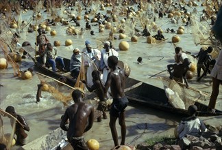NIGERIA, North, Argungu, View over mass of men with nets in the muddy water for the Fishing