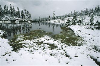 USA, Washington State, Mount Baker National Forest, First winter snowfall on Mount Baker in the