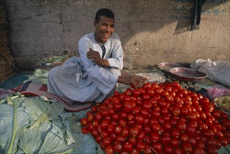 EGYPT, Nile Valley, Luxor, Smiling young man selling tomatoes.