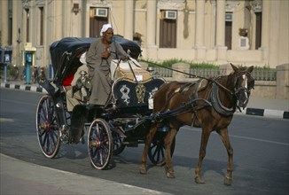 EGYPT, Nile Valley, Luxor, Caleche horse drawn carriage on city road.