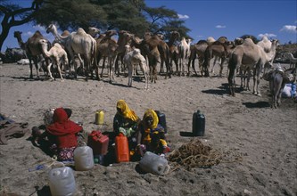 ERITREA, Barentu, Adi Keshi, Camels at well and women with water containers.