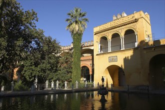 SPAIN, Andalucia, Seville, The Royal Alcazar patio