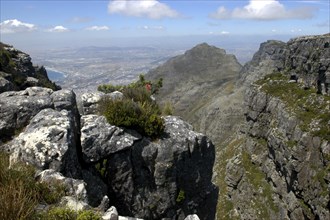 SOUTH AFRICA, Western Cape, Cape Town, The rocky summit of Table Mountain