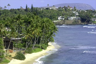 USA, Hawaii, Oahu, Black Point. View over sandy beach with a mass of palms and small wooden hut