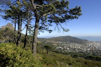 SOUTH AFRICA, Western Cape, Cape Town, Aerial view over the city and coastline from hillside