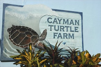 WEST INDIES, Cayman Islands, Cayman Turtle Farm sign