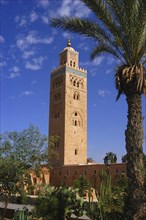 MOROCCO, Marrakech, Koutoubia Mosque minaret with palms in the foreground