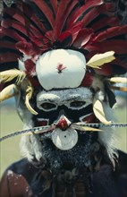 PAPUA NEW GUINEA, People, Men, Highland warrior