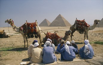 EGYPT, Cairo Area, Giza, Group of men with camels and the Pyramids behind.