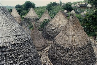 CAMEROON, Oujila, Village with typical conical shaped thatched huts.