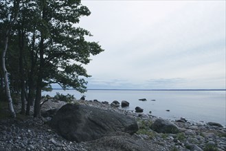 ESTONIA, Lahemaa Nat. Park, Baltic coastal landscape.