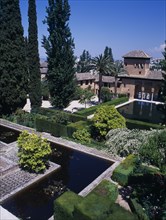 SPAIN, Andalucia, Granada, The Alhambra. Jardins de Partal with the Palace of the Maids beyond