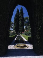 SPAIN, Andalucia, Granada, The Alhambra. Generalife Gardens with rectangular pond lined with roses