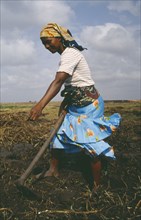 MOZAMBIQUE, Gaza Province, Xai Xai, Young woman hoeing land by hand.