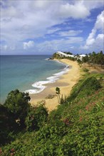 WEST INDIES, Antigua, Morris Bay, View from green cliffs over empty golden sandy stretch of beach