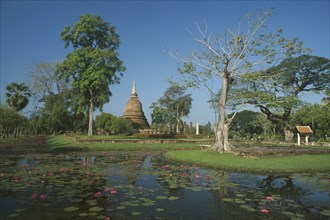 THAILAND, Bangkok Area, Sukhothai, View over lotus flowers on stream with chedi in background at