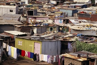 SOUTH AFRICA, Gauteng, Soweto, Chicken Farm shanty housing.