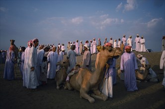 OMAN, Sport, Crowd of men and boys at the camel races near Al Suwayk