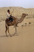 QATAR, Transport, Bedouin man riding camel in the desert