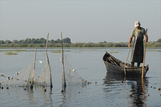 ROMANIA, Tulcea, Danube Delta Biosphere Reserve, Professional fisherman in canoe on Lake Isac