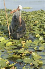 ROMANIA, Tulcea, Danube Delta Biosphere Reserve, Professional fisherman in canoe on Lake Isac