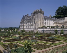 FRANCE, Loire Valley, Indre et Loire, Chateau Villandry. Ornamental walled garden