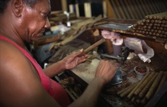 CUBA, Havana, Man rolling cigars at a factory