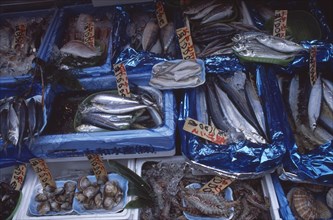 JAPAN, Honshu, Tokyo, Tsukiji Fish Market with display of fresh seafood for sale