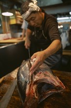 JAPAN, Honshu, Tokyo, Tsukiji Fish Market with man slicing Tuna fish