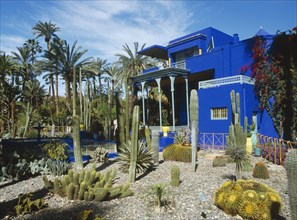 MOROCCO, Marrakech, Jardin Majorelle. Colbolt blue building surrounded by a garden of palm trees