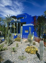 MOROCCO, Marrakech, Jardin Majorelle. Colbolt blue building surrounded by a garden of palm trees