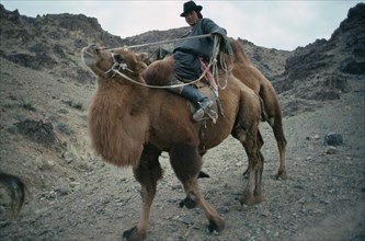 MONGOLIA, Gobi Desert, Herdsman on camel