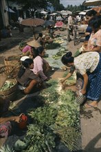 LAOS, Markets, Female vendors and customers at roadside stalls selling herbs and vegetables.