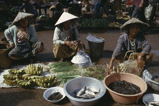 LAOS, Vientiane, "Female vendors at market stall selling onions, chillies, bananas and fish."