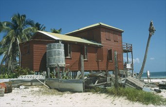 BELIZE, Caye Caulker, Red painted house with dead palm tree outside