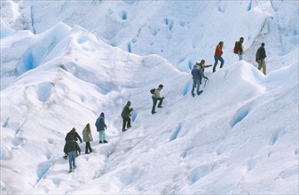 ARGENTINA, Patagonia, Santa Cruz, Parque Nacional Los Glaciares.  Line of walkers mini-trekking on